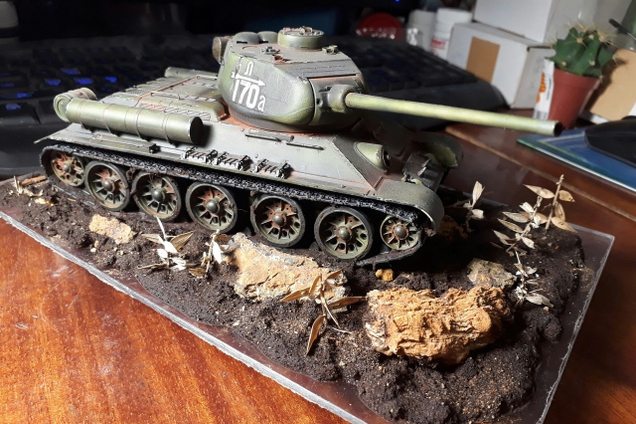 Лиса и Хобби