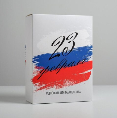Коробка складная «23 Февраля», 22  30  10 см