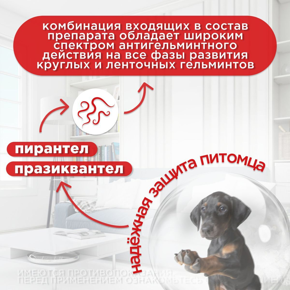 Суспензия от гельминтов Дирофен 60 для взрослых собак и кошек 10мл