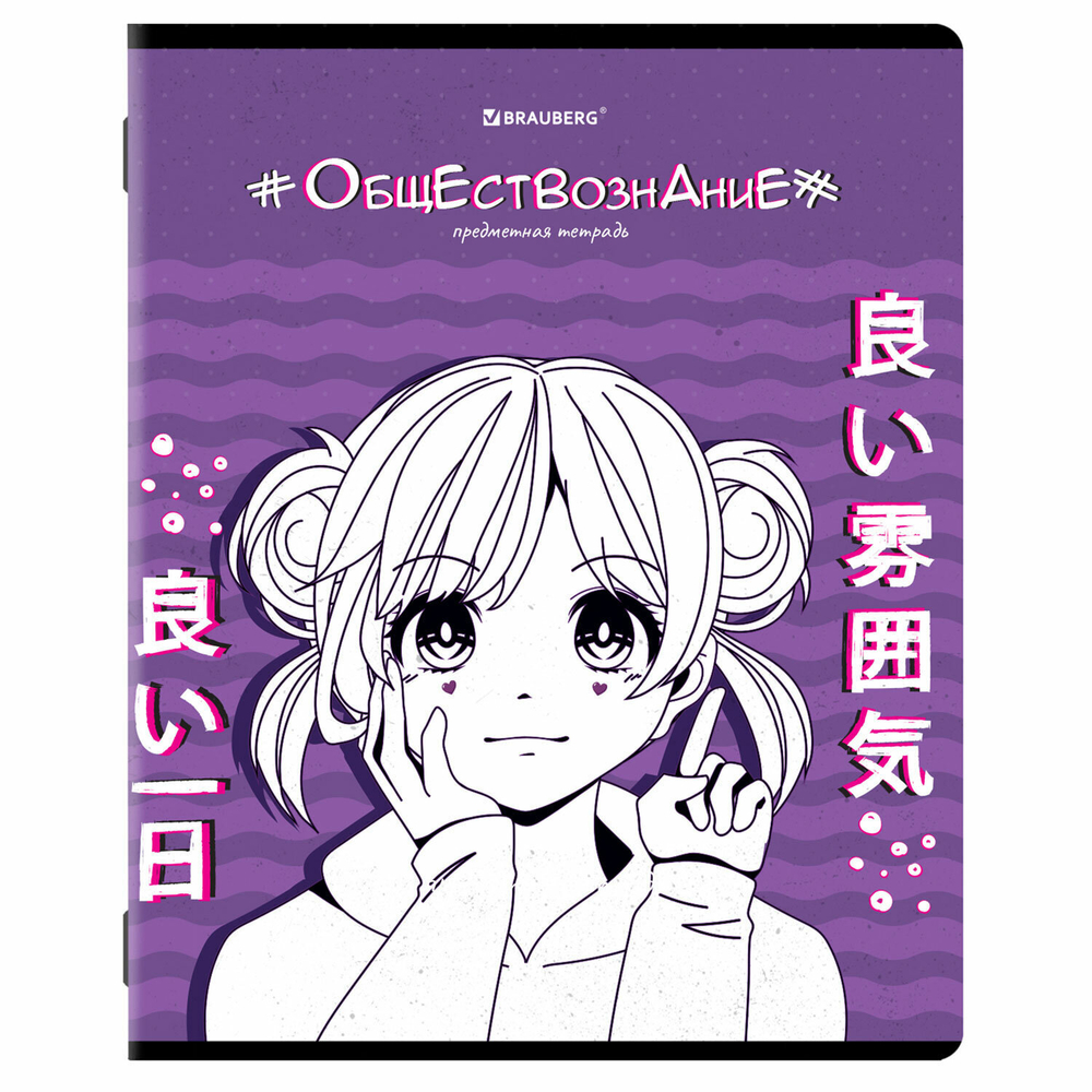 Тетради предметные комплект 12 ПРЕДМЕТОВ 48 л. глянцевый УФ-лак BRAUBERG "ANIME" (2 штуки в упаковке)