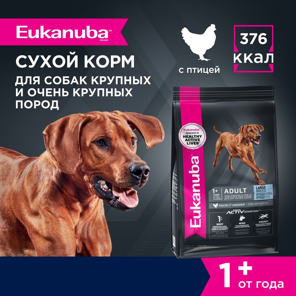 Сухой корм Eukanuba Adult Large Breed 1+ Years для взрослых собак крупных и очень крупных пород с птицей
