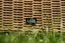 "Эспрессо–150 N" обеденная группа плетеная, цвет соломенный