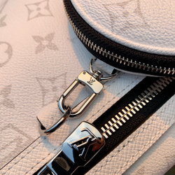 Louis Vuitton Duo Sling Bag