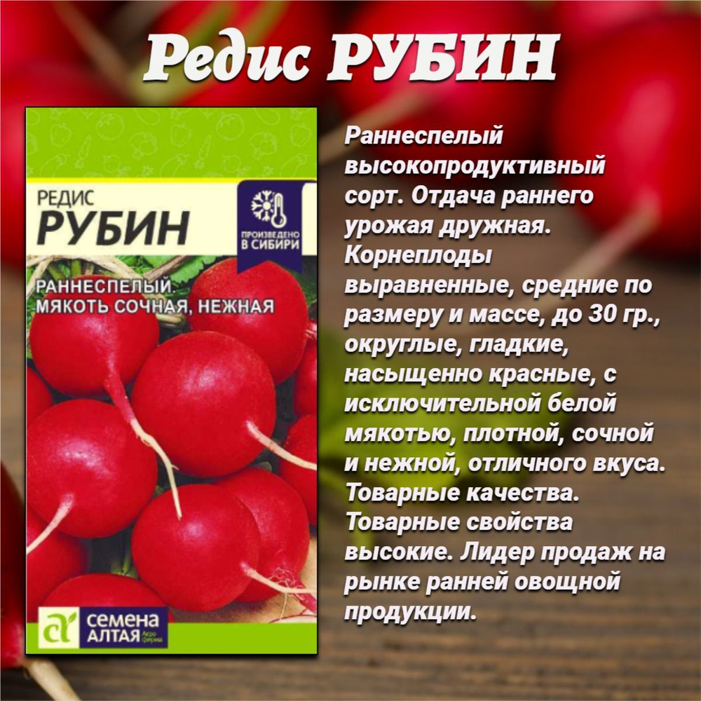 Набор семян редиса: лучшие сорта для урожая в вашем саду. Семена Алтая