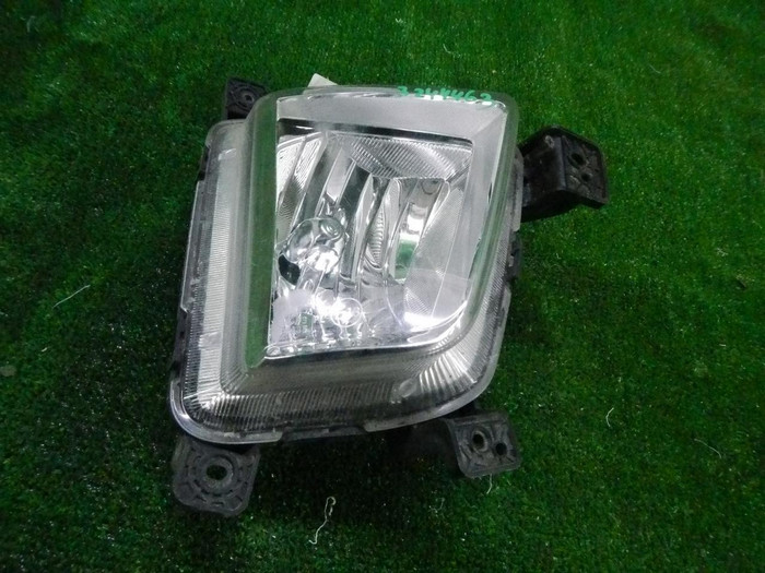 DSCN7971.JPG