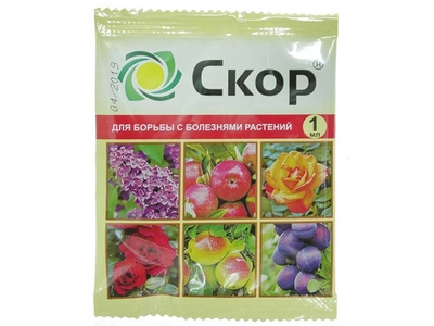 Скор 1мл от парши на плодовых и декоративных культурах ВХ