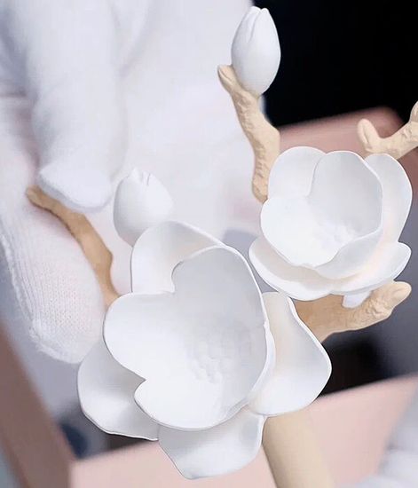 Magnolia, ароматический диффузор с необычными палочками, Chando