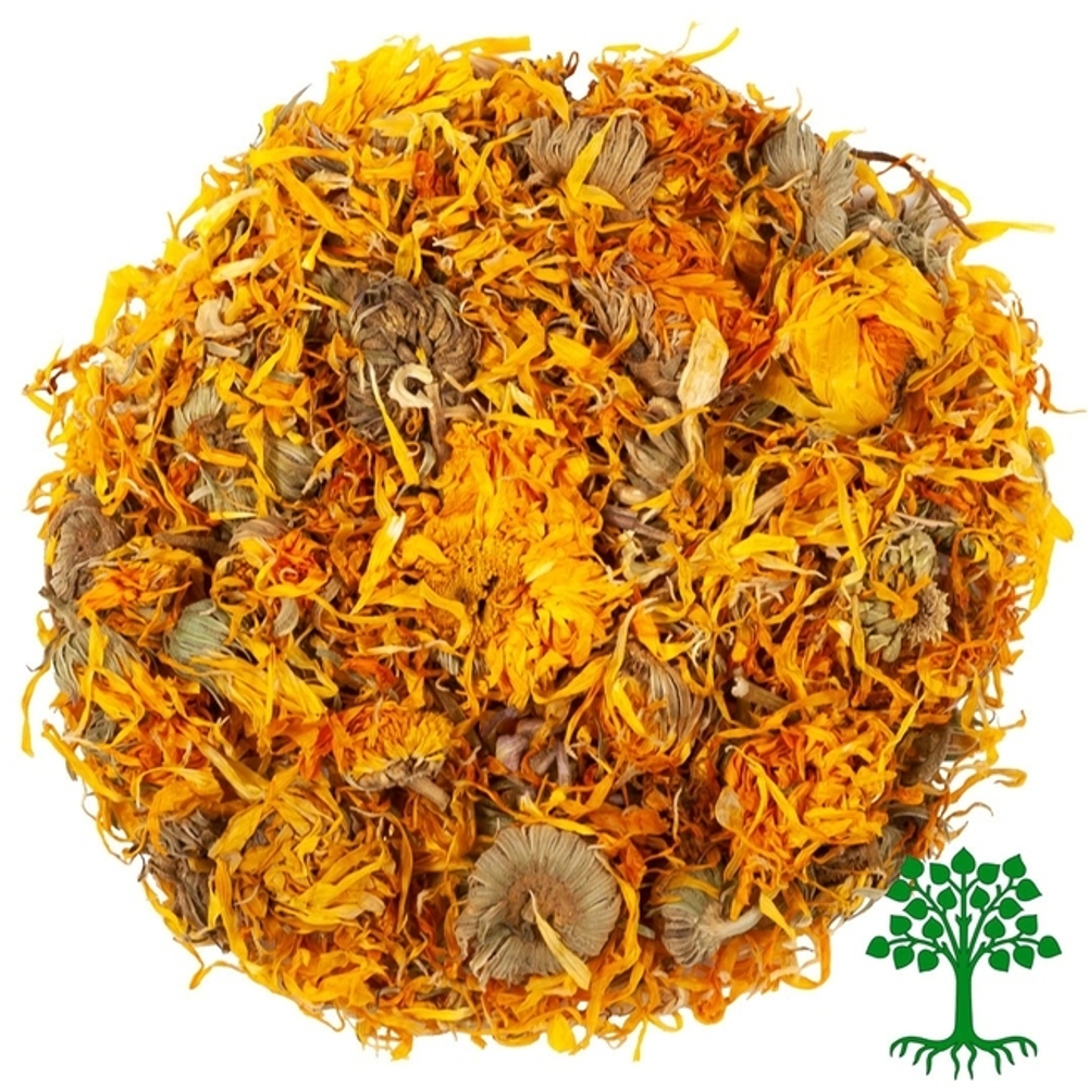 Календула цветы