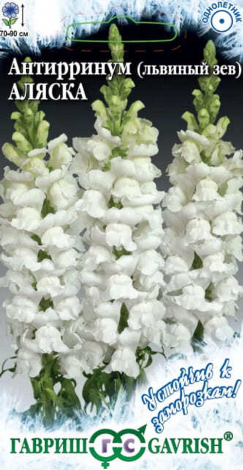 Львиный зев (антирринум) Аляска 0,05г серия Устойчив к заморозкам