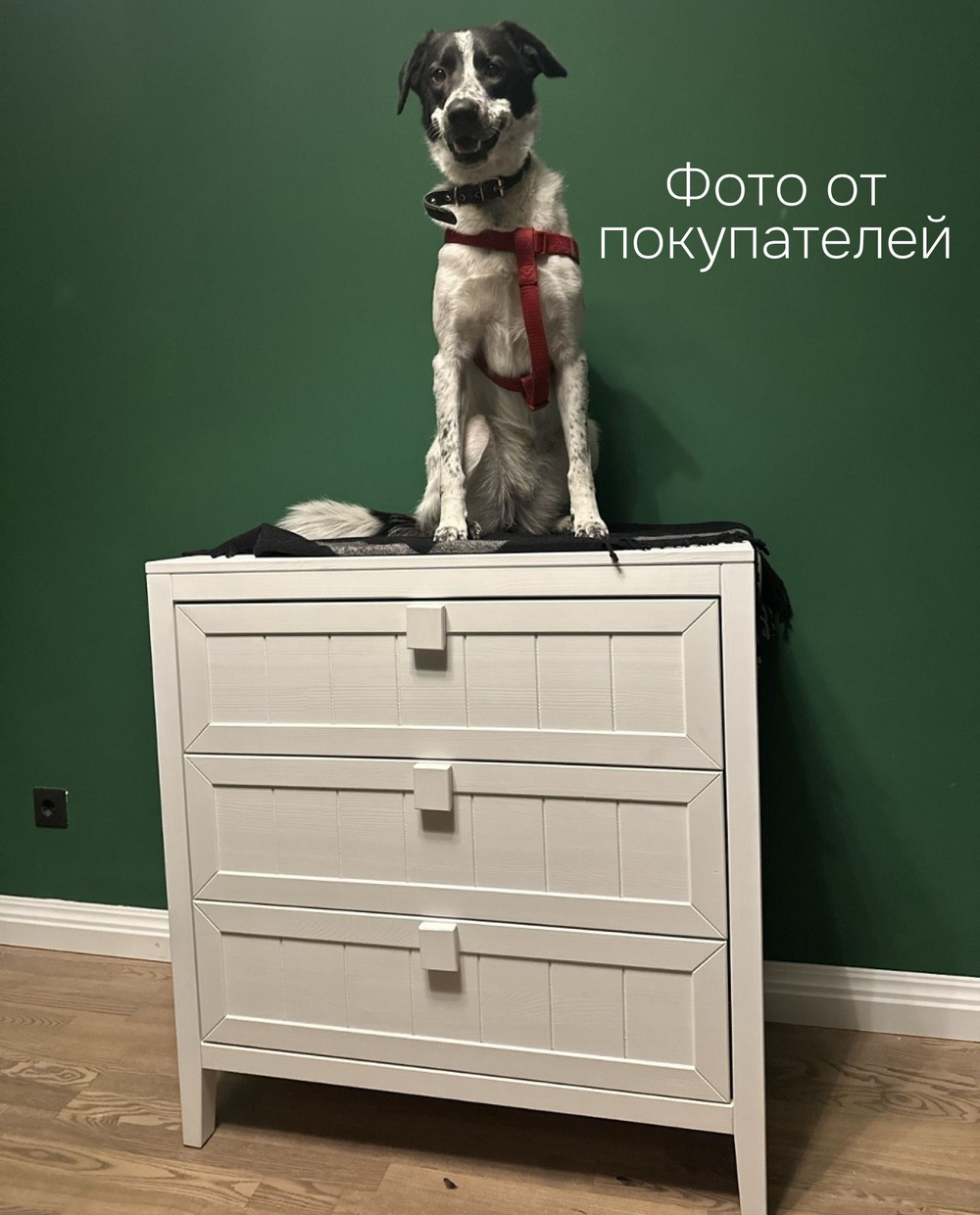 Dipriz Комод дизайнерский Карлос из сосны, 3 ящика, 75х35х90 см, белый воск