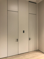 Элегантная межкомнатная дверь в современном стиле