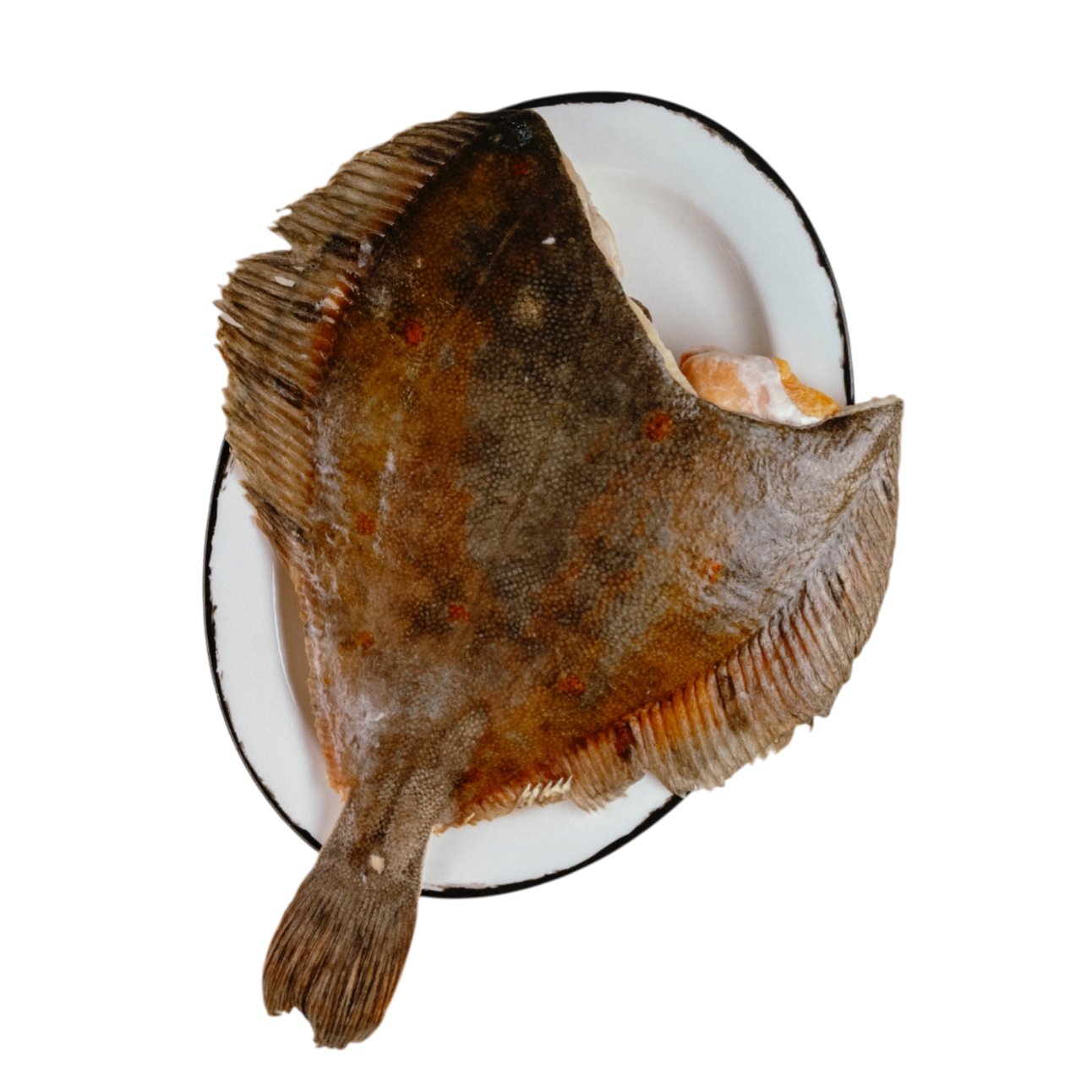 Камбала, с/м, 1+ кг