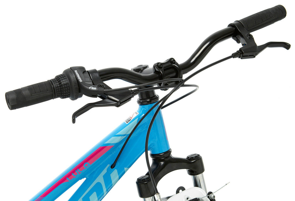 Подростковый велосипед Schwinn Lula 24 (2021)