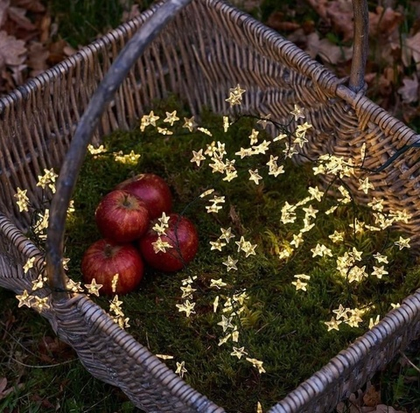 Гирлянда Звезды  нить 2 м