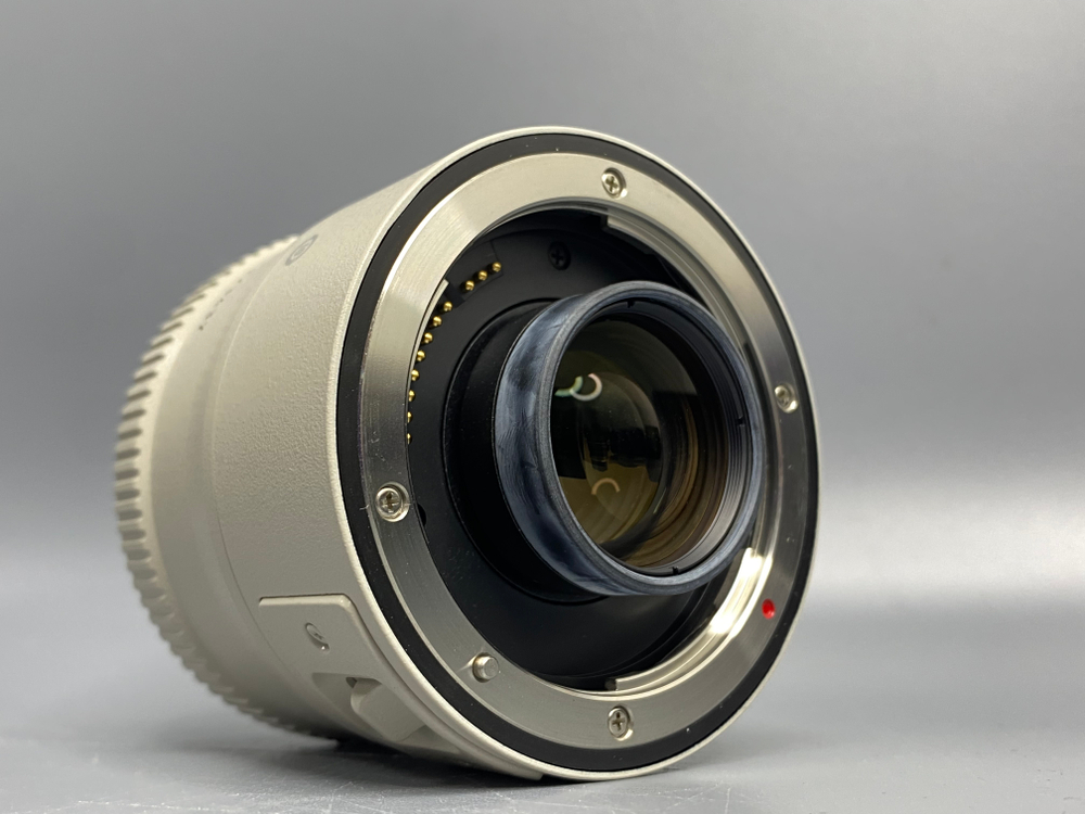 Canon Extender EF 2x II