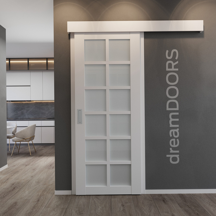 Дверь-купе WALES