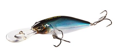 Shad-X 80F DR