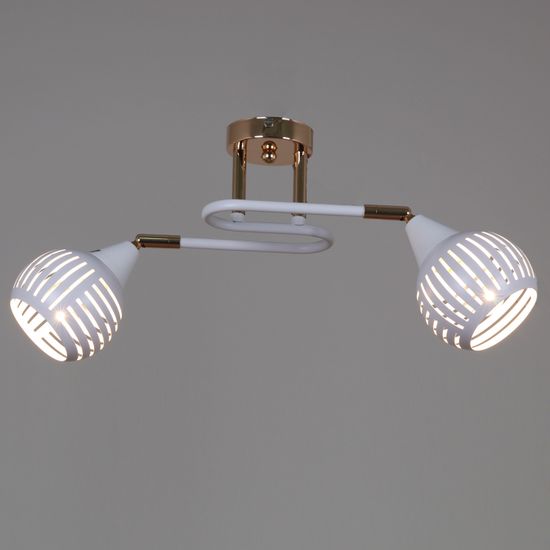 70059-3.3-02 FG+WH светильник потолочный