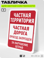 Табличка для частной территории "Частная территория, дорога", на дом, для участка, организаций, предупреждающая, 40х30 см, Silver Plane x Айдентика Технолоджи
