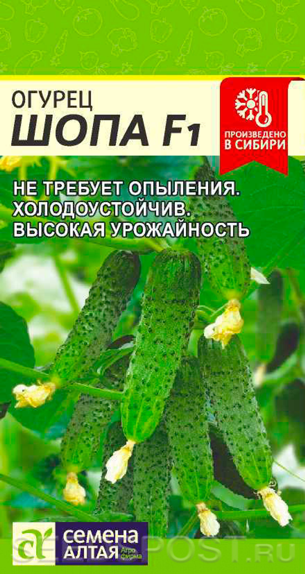 Огурец Шопа Семена Алтая