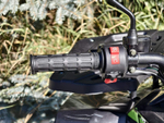 Lion 125 AR lite черный