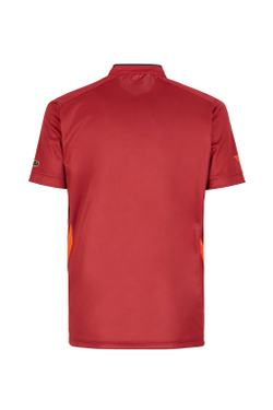 Мужское поло теннисное EA7 Man Jersey Jumper - red dahlia