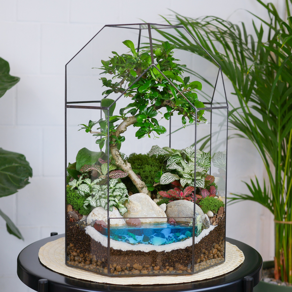 Готовый флорариум бонсай Кармона Бонсариум XL с озером