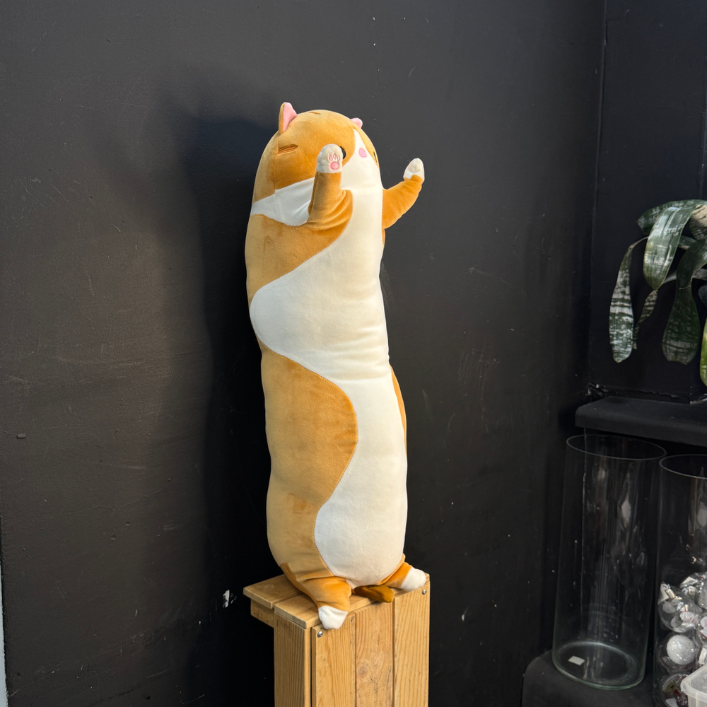 Котик плюшевый