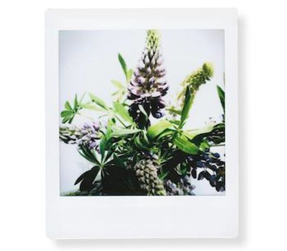 Fotoaparat lenti \ Картридж Fujifilm Instax SQUARE, 10 lent