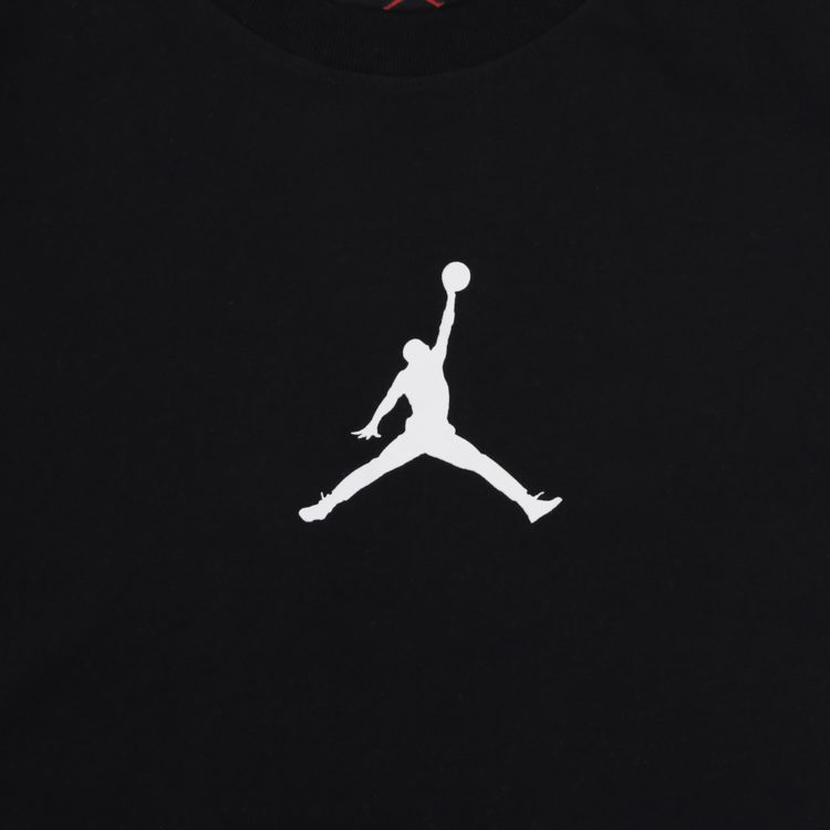 Футболка мужская Jordan Jumpman Dri-Fit артикул:CW5190-010 - купить в магазине Дайс