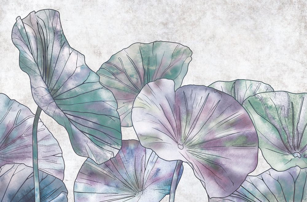 Коллекция Grafika Natura