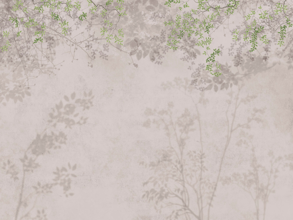 Коллекция Vento