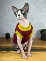 Одежда для сфинксов