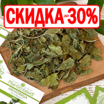Шелковица \ Тутовник (лист)