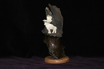 Широколобый лось, миниатюра