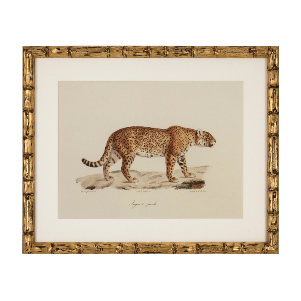 Постер Prints Lion, Tigre, Jaguar set of 6 арт.111745