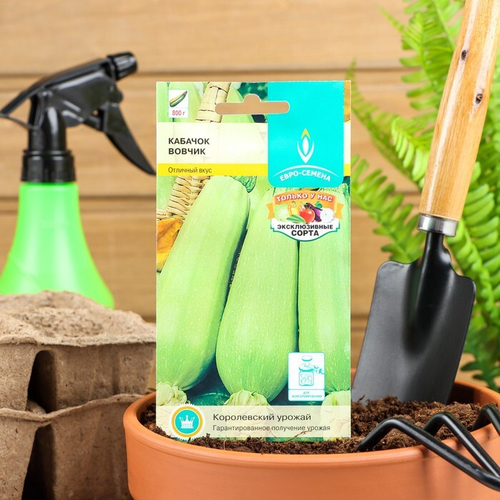 Кабачок "Вовчик", раннеспелый, белоплодный, универсальный, 1 г