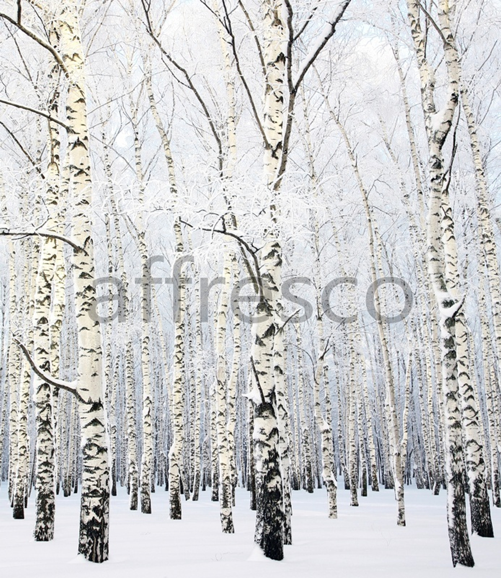 Фреска арт. ID13531