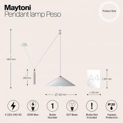 Подвесной светильник Maytoni Peso P080PL-01W