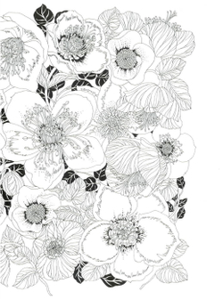 The flower year. Coloring Book (Korea)