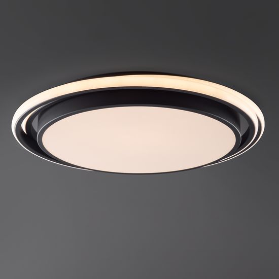 Потолочный светильник Freya FR10031CL-L98B