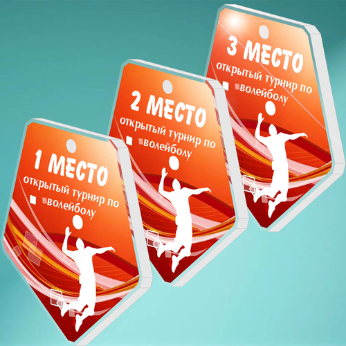 Акриловая медаль Волейбол 1702