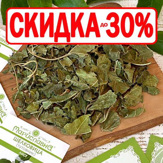 Шелковица \ Тутовник (лист)