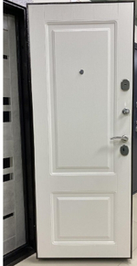 Дверь входная Дельта
