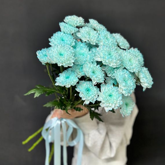 Букет из голубой хризантемы