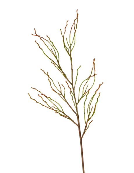 Ветвь зелёно-коричневая