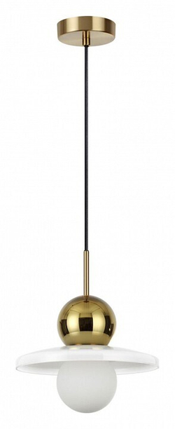 Подвесной светильник Odeon Light 5014/1B