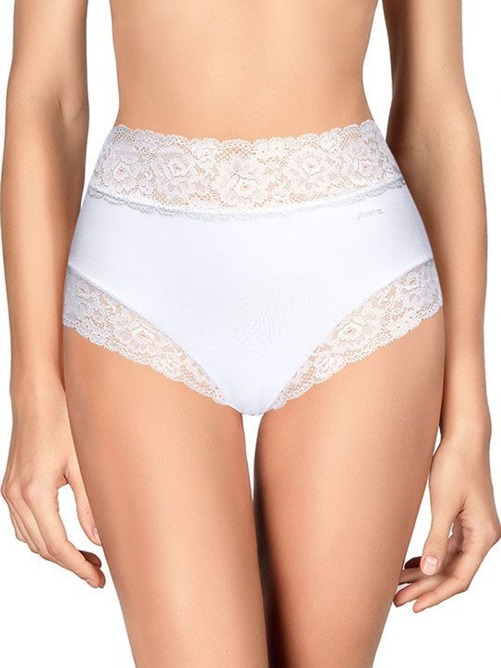 Трусики-слип с высокой линией талии Dolce Cinture (Размер: XL) (Цвет: черный)