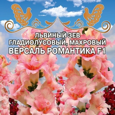 Львиный зев гладиолусовый, махровый  Версаль Романтика F1