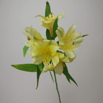 Альстромерия перфект